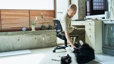 Man strokes dog as he leans down from his office chair
