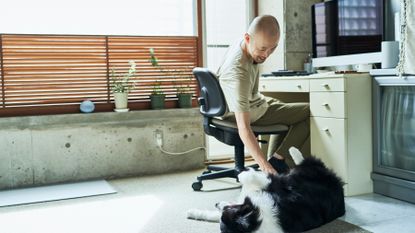 Man strokes dog as he leans down from his office chair