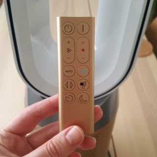 The Dyson Purifier Hot+Cool's bronze-coloured remote control