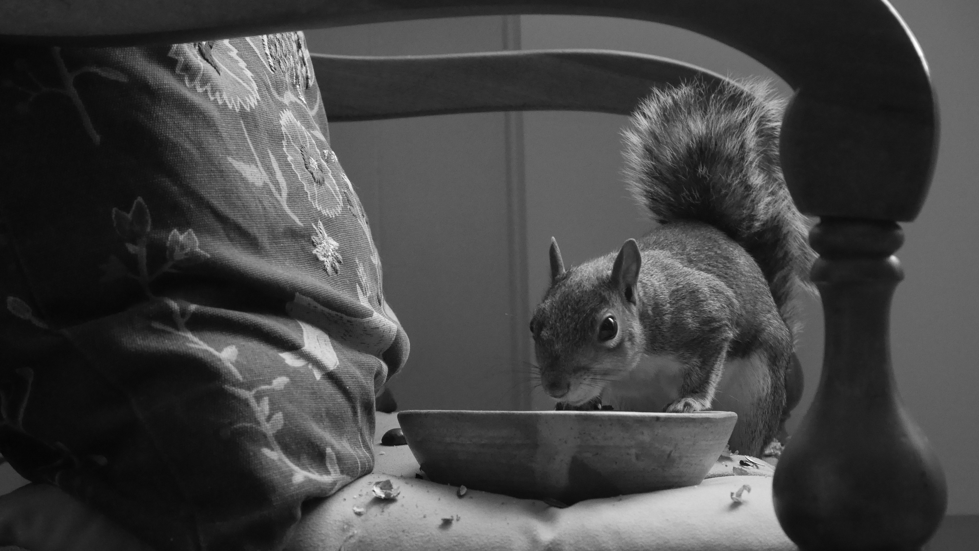 Artist in residence; art materials