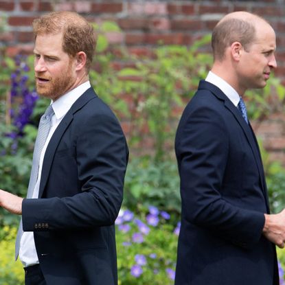 topshot britains prince harry, duke of sussex l and britains prince william, duke of cambridge attend the unveiling of a statue of their mother, princess diana at the sunken garden in kensington palace, london on july 1, 2021, which would have been her 60th birthday princes william and harry set aside their differences on thursday to unveil a new statue of their mother, princess diana, on what would have been her 60th birthday photo by dominic lipinski pool afp photo by dominic lipinskipoolafp via getty images