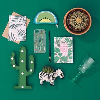 green coloured cactus and zebra toy