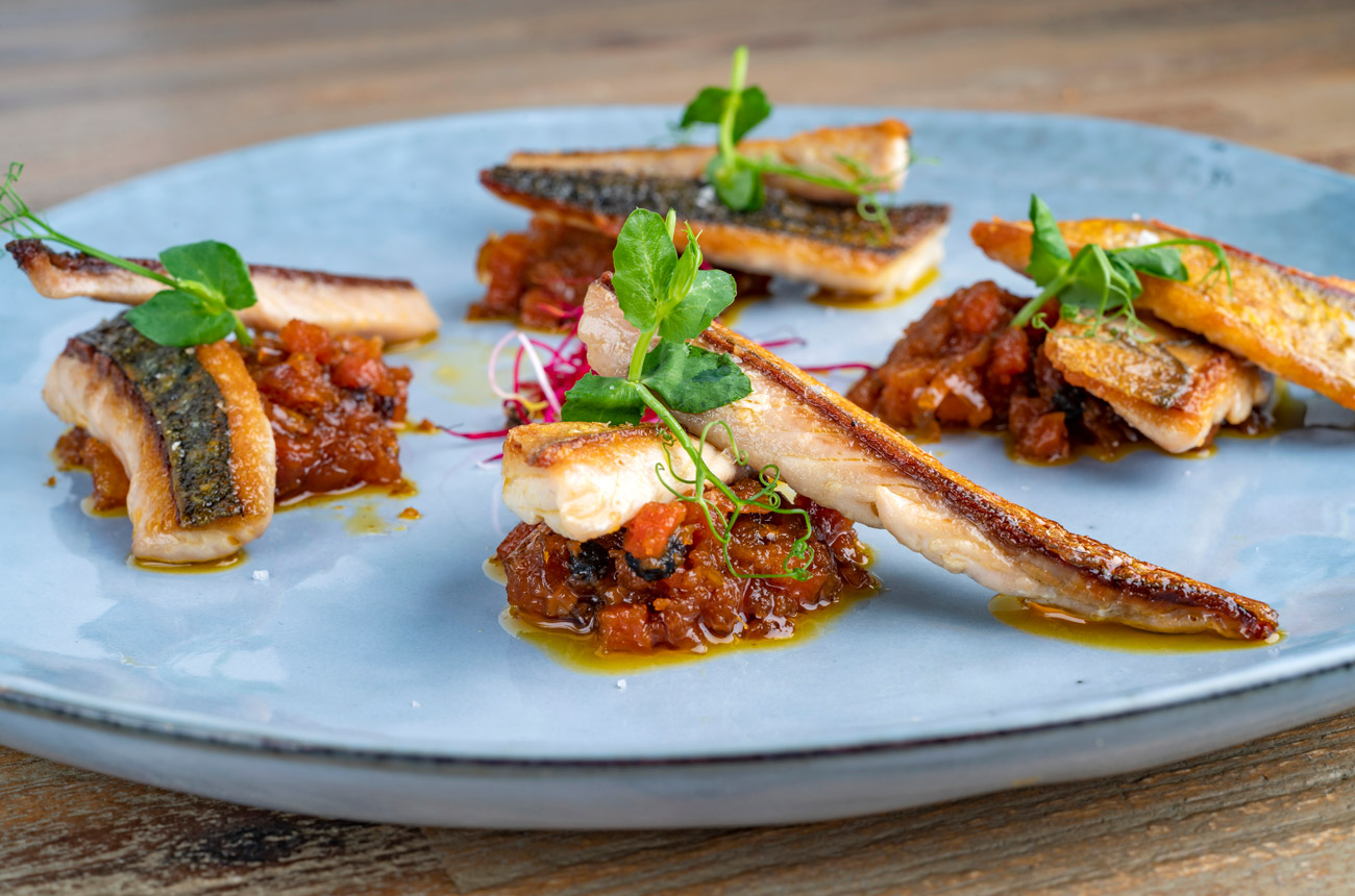 Fish and tomato sauce on a blue plate
