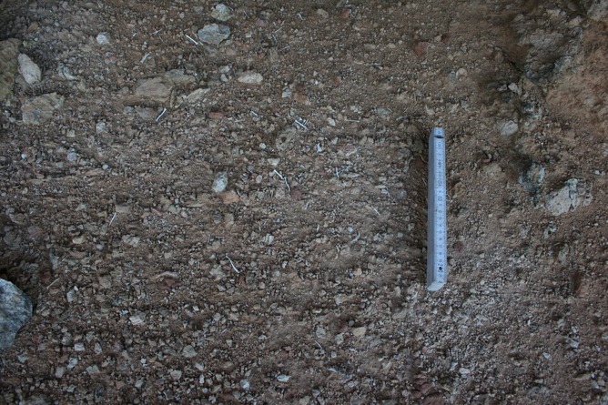 The floor of an ancient owl roost in a coastal cliff overhang.