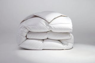 h7o4H6UBGnyUsq99zMZZGQ-320-80 عناصر عشوائية (ولكن رائعة) يحب محرر التسوق