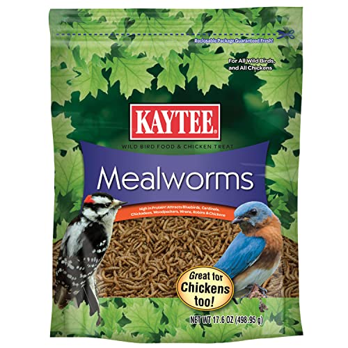 Kaytee Wild Bird Food Mealworms for Bluebirds, Wrens, Robins, Chickadees, Woodpeckers, Cardinals &amp;amp; Chickens, 17.6 Ounce