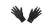 Gore Universal Windstopper Gloves