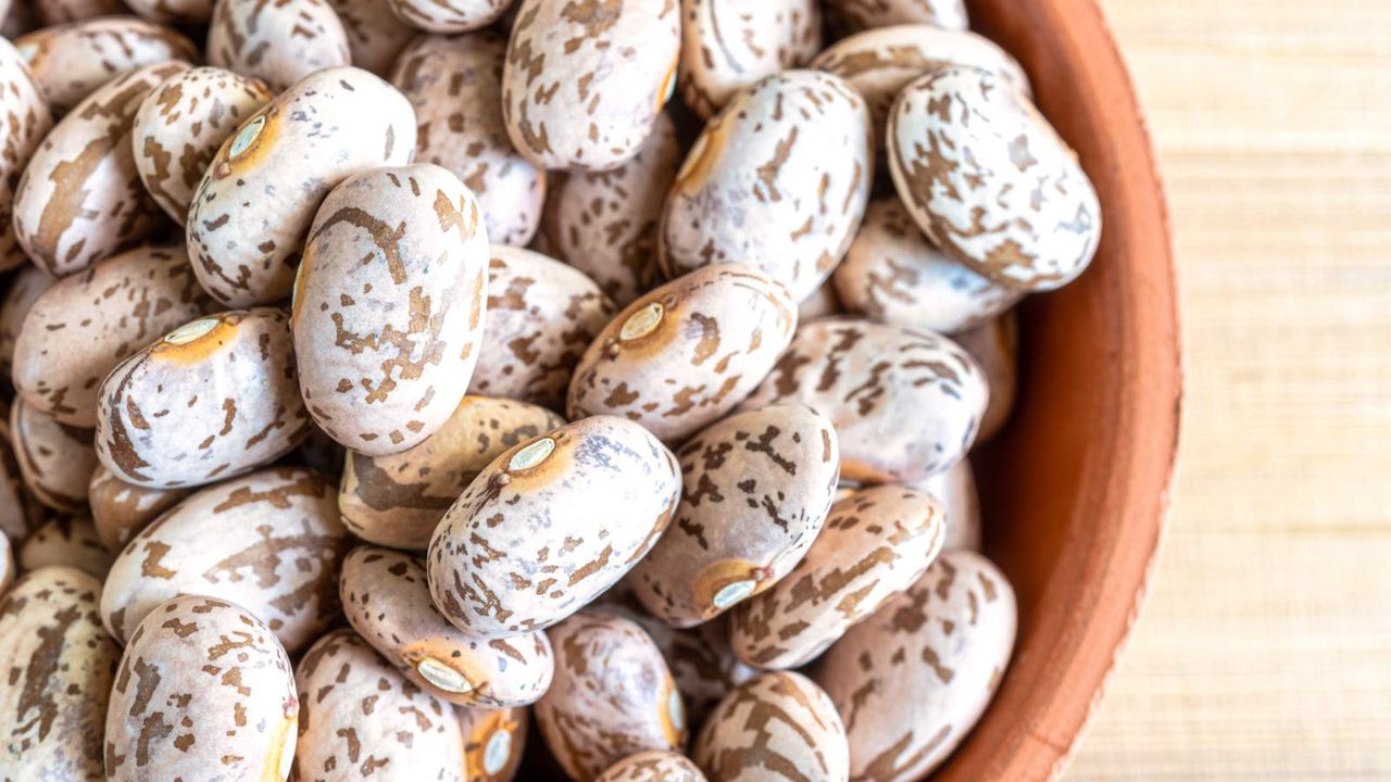 Pinto beans in a bowl