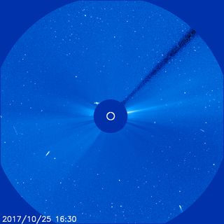 Comet 96P/Machholz is shown (lower right) in the view of the Solar and Heliospheric Observatory (SOHO) on Oct. 25, 2017. The spacecraft uses a device to block out the light of the sun, which gives it a better view of solar activity (and, coincidentally, sun-grazing comets).