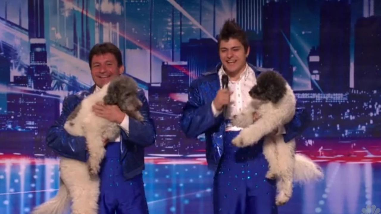 Olate Dogs in America's Got Talent.