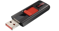 SanDisk  256GB Cruzer USB Flash Drive