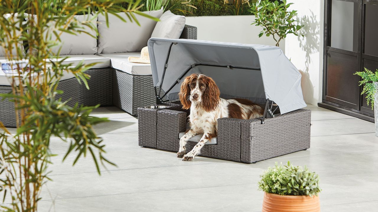 Aldi rattan dog lounger with canopy and bowl