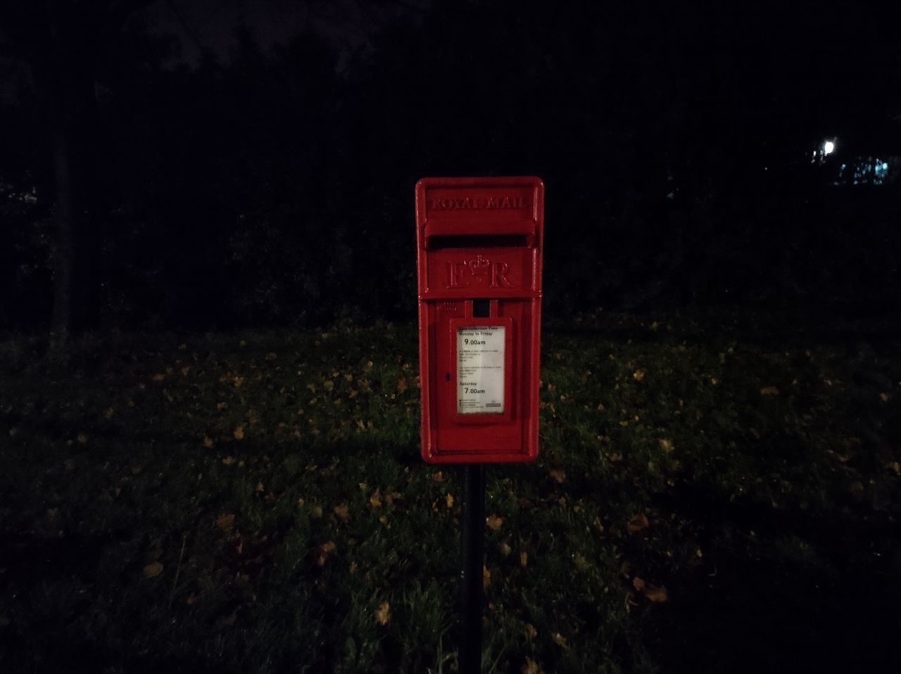 Moto G9 Plus camera sample
