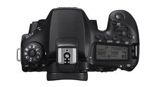 Canon EOS 90D review