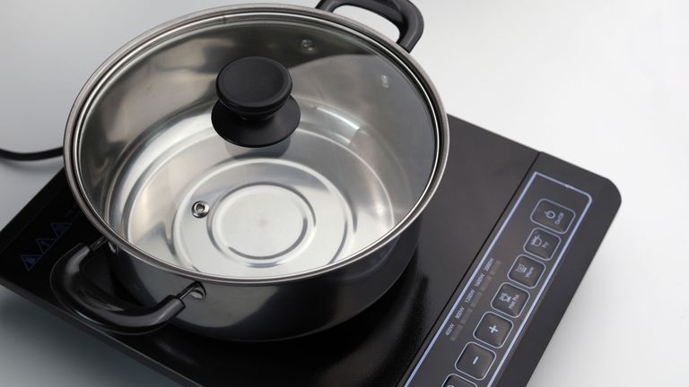best portable induction hobs