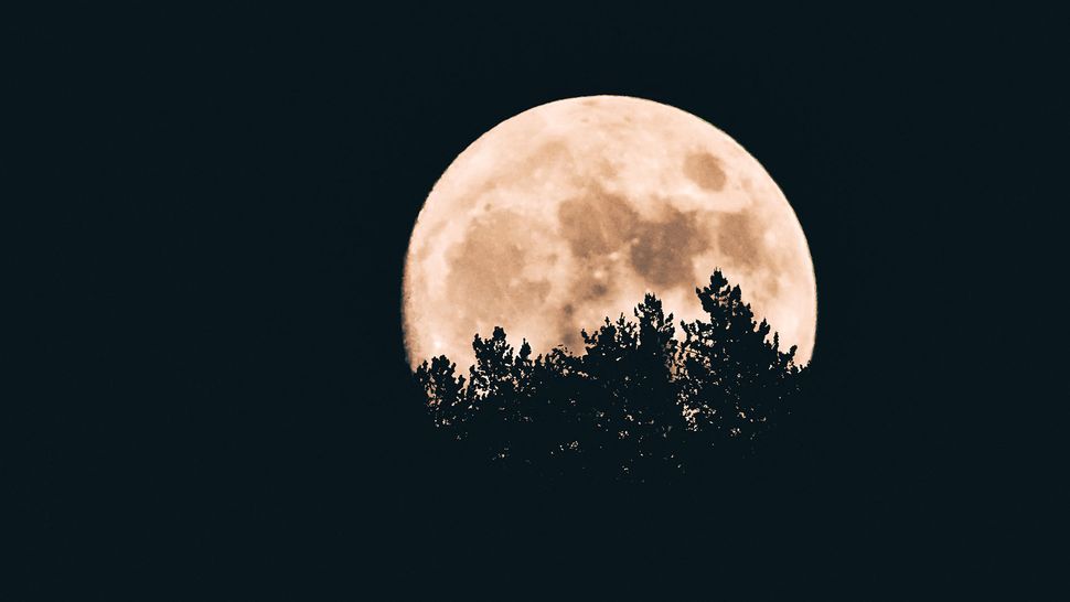 Does A Full Moon Affect Sleep We Investigate Tom s Guide