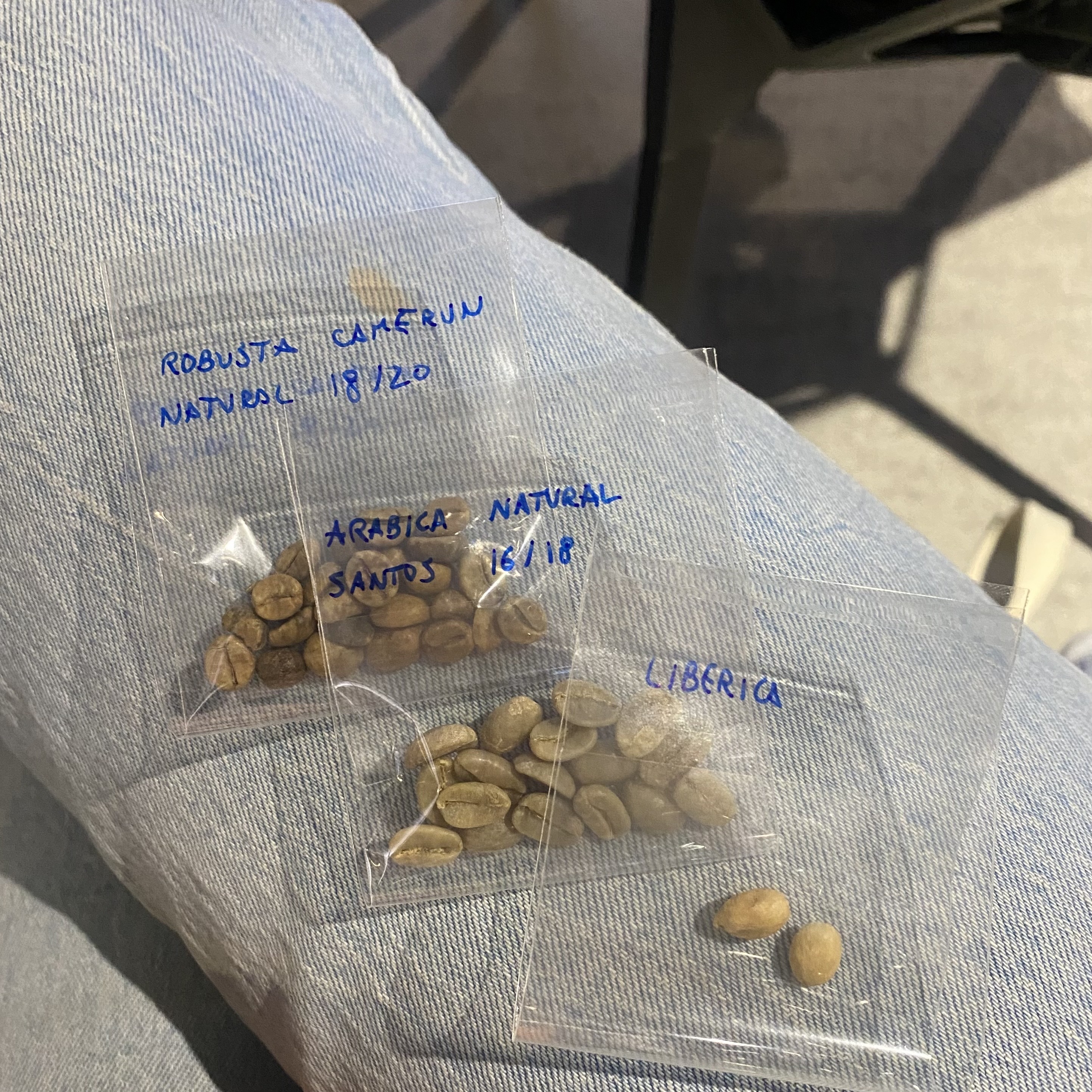 Coffee testing at LELIT factory