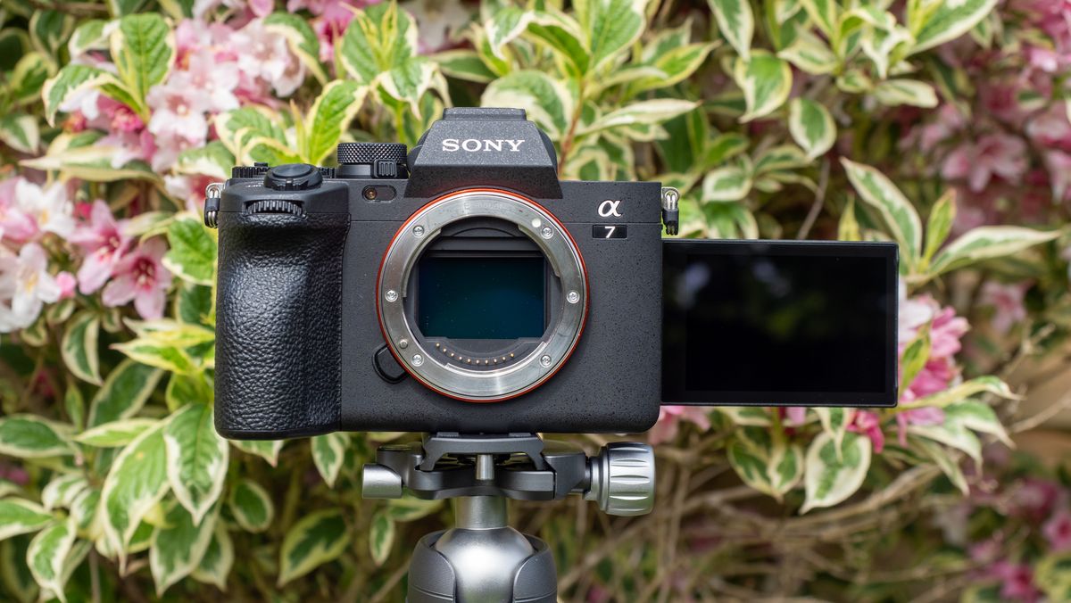 Sony A7 IV review | Live Science