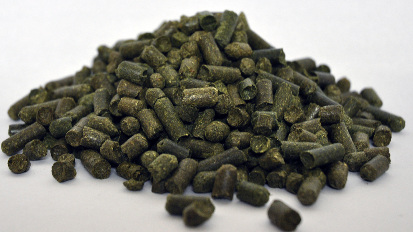 Close up of unsoaked Dengie Grass Pellets