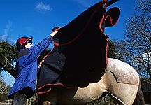 horse-rug-9.jpg