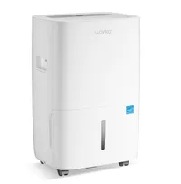 Dehumidifier Under $200