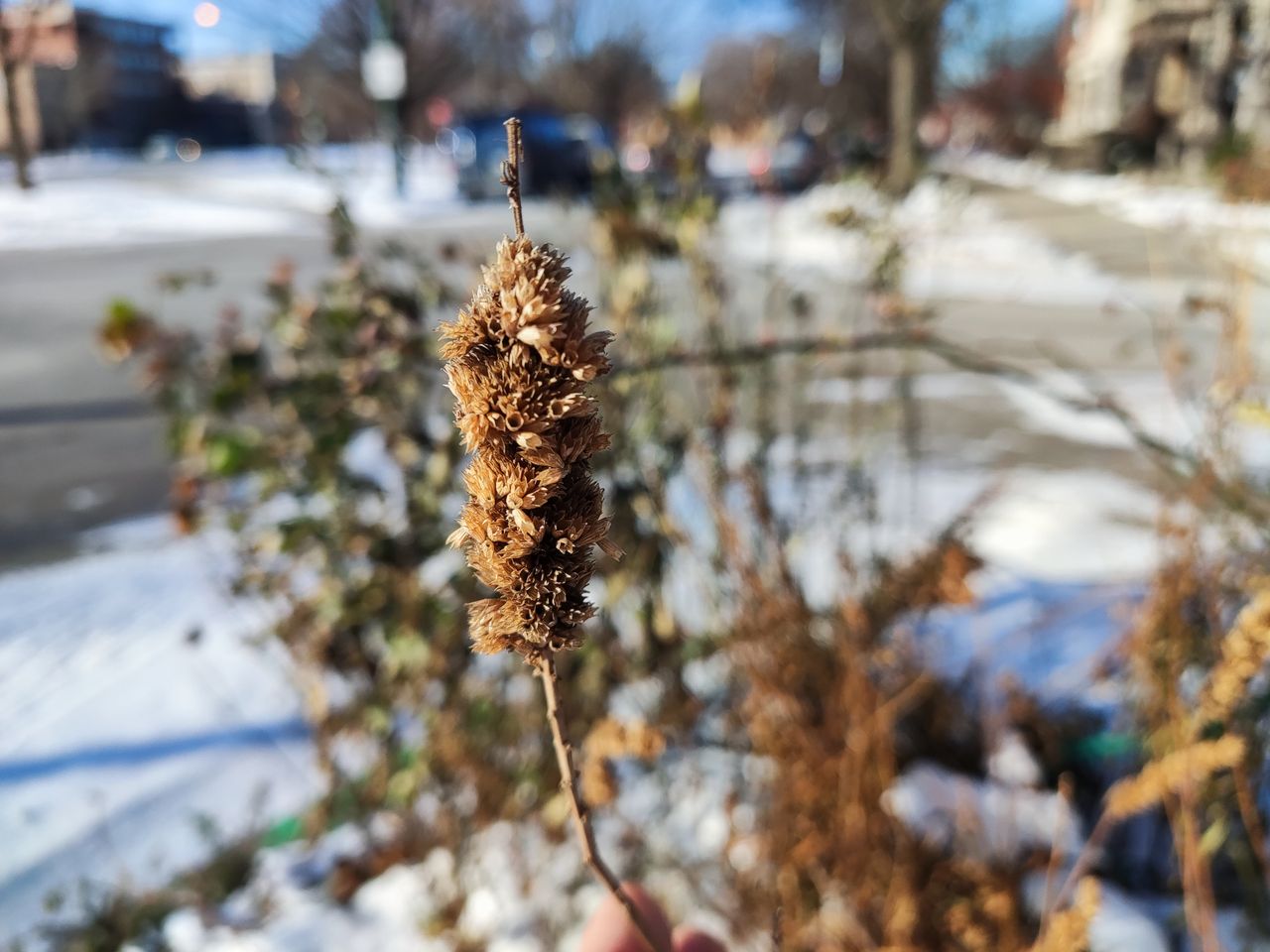 Xiaomi Poco F3 image sample