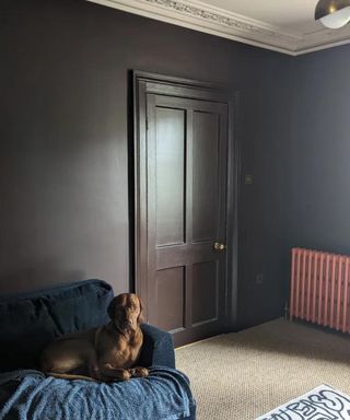 Living room painted in dark brown, Farrow & Ball Cola