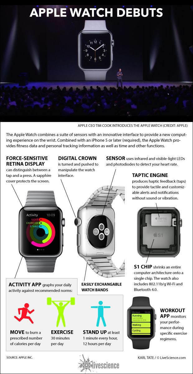 Details of Apple&#039;s Watch computer.