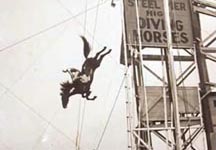 diving-horse1.jpg