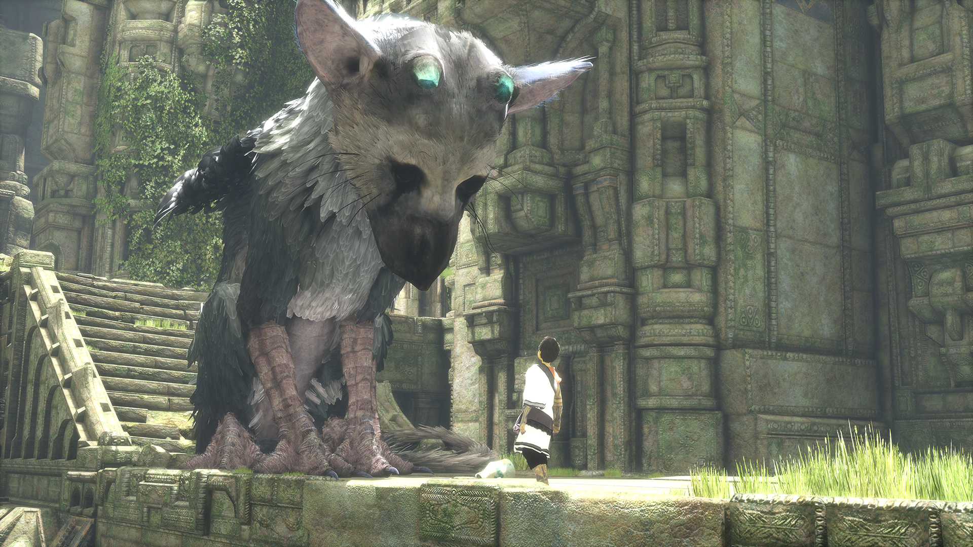 The Last Guardian Collector's Edition is super swaggy