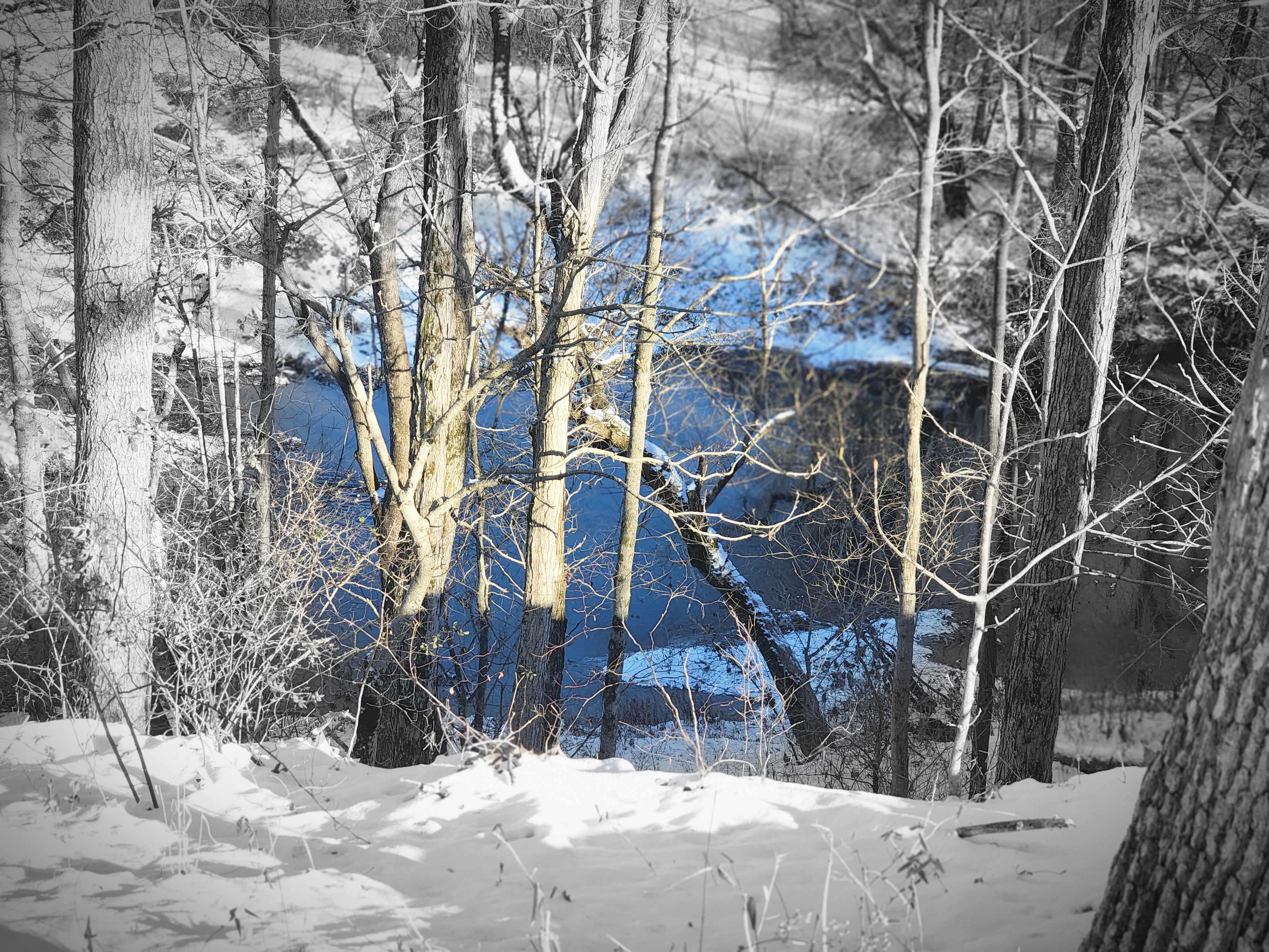 GuruShots - February 2026