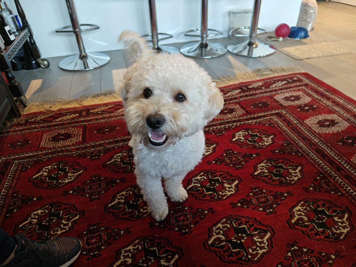 A photo taken on the OnePlus 11