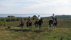 Riding-holidays.jpg