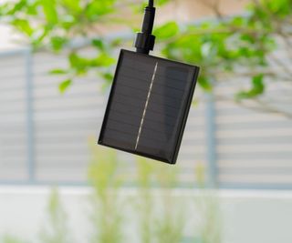 A solar panel hanging from a tree