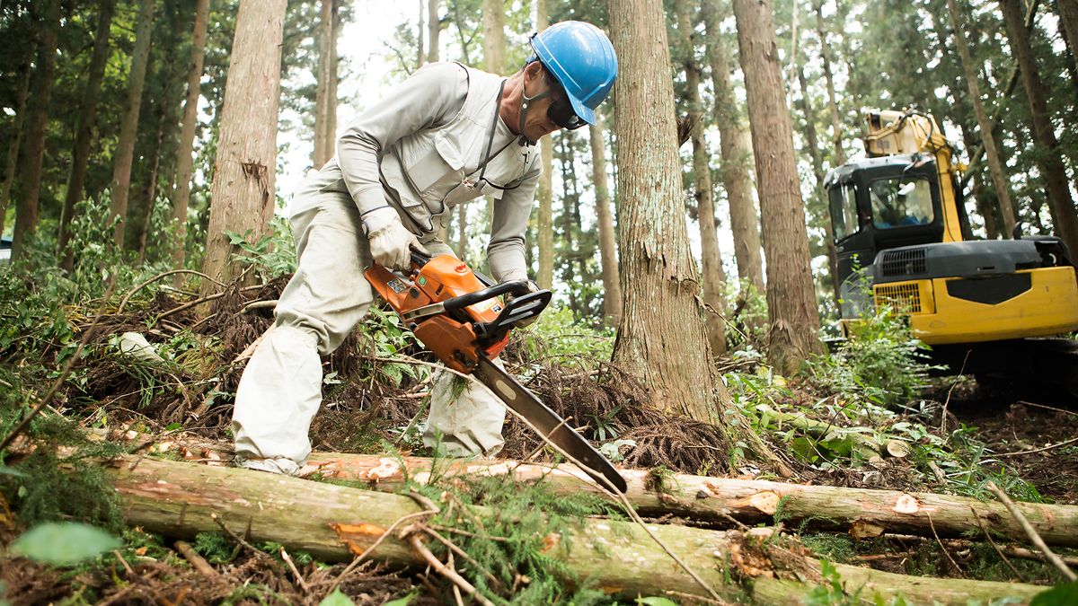 Man dressed in protective outdoor gear using a chainsaw to cut a tree branch.