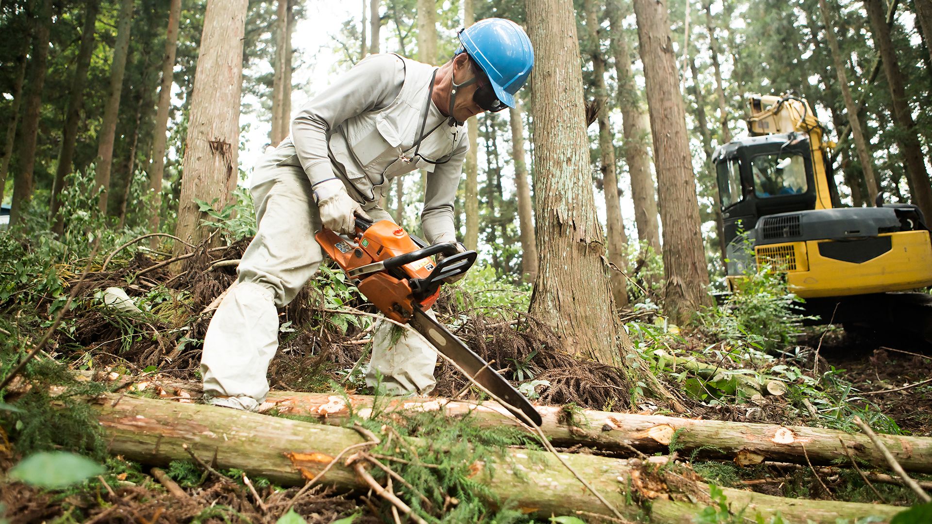 How to cut with a chainsaw Top Ten Reviews