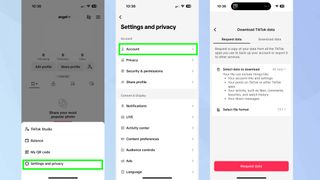 How to download your data on TikTok