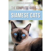The Complete Guide To Siamese Cats | Amazon