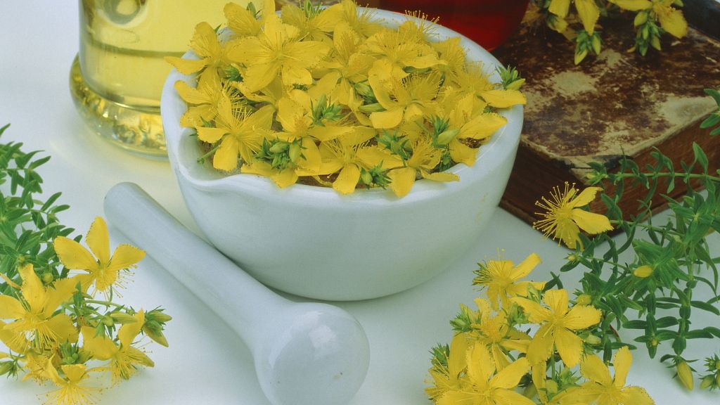 St. John&#039;s wort flowers in a mortar and pestle