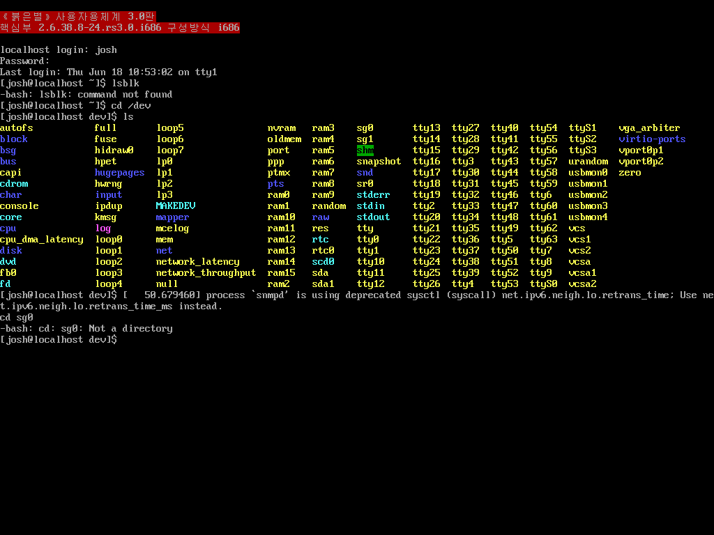 Running ls in RedStar.