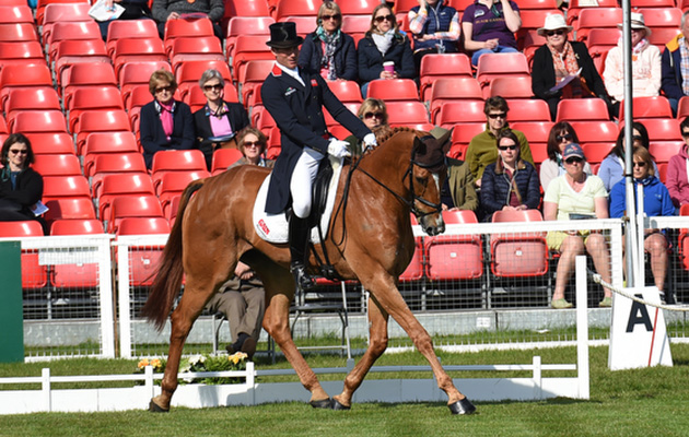 Oliver Townend and Armada at Badminton 2016. Picture by Peter Nixon