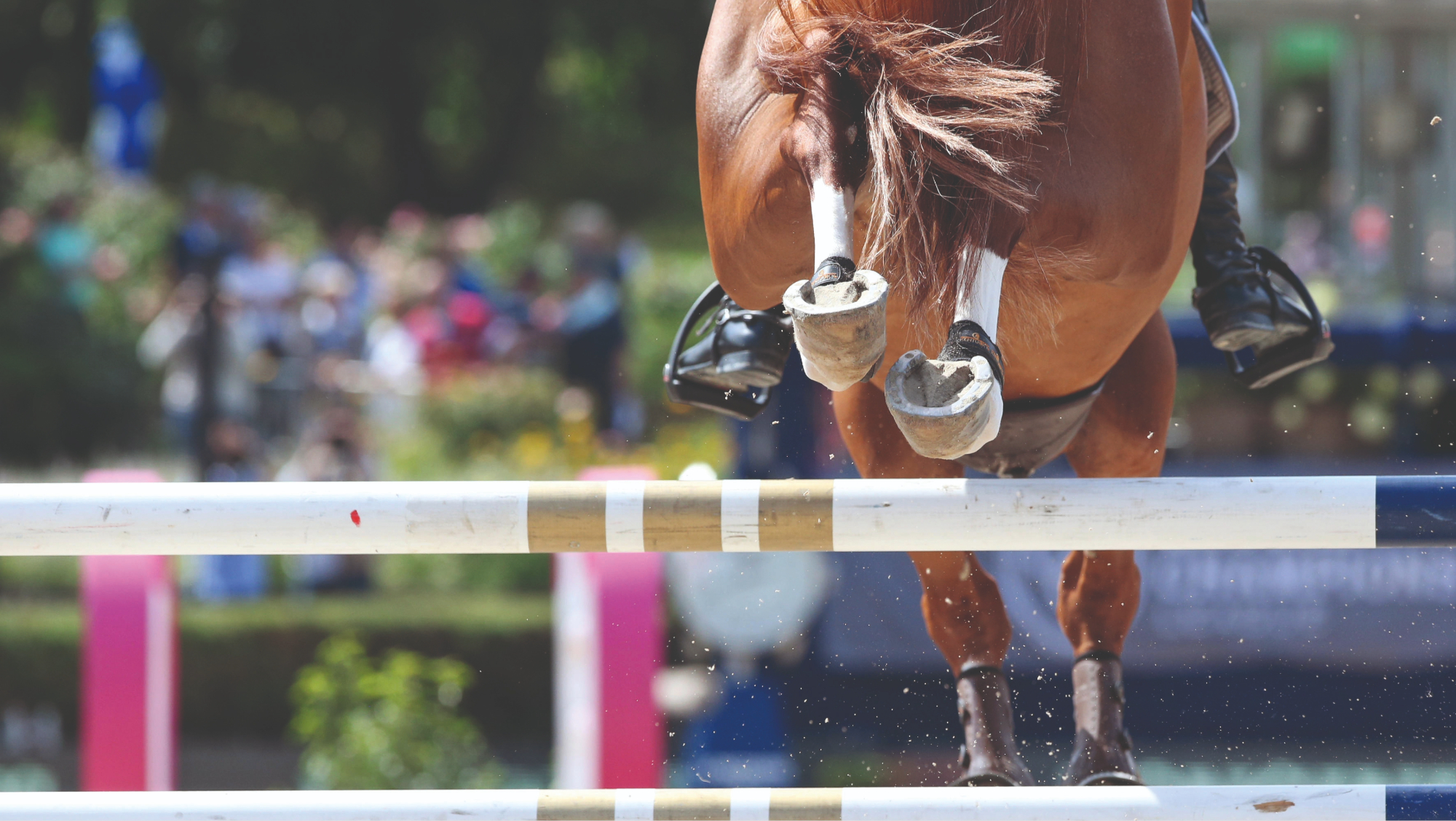 A detailed shot showing a jumping horse over a steep jump