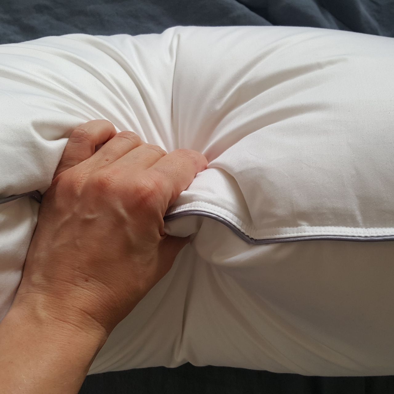 scooms Hungarian Goose Down pillow on its side, squeezed by a hand