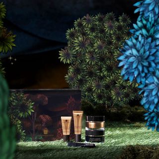 Items from the Templespa Champagne and Truffles gift set, pictured on a backdrop inspired by a Mediterranean garden