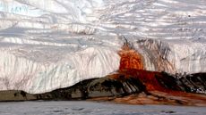 Iron rich water falls into the ocean from the glacier