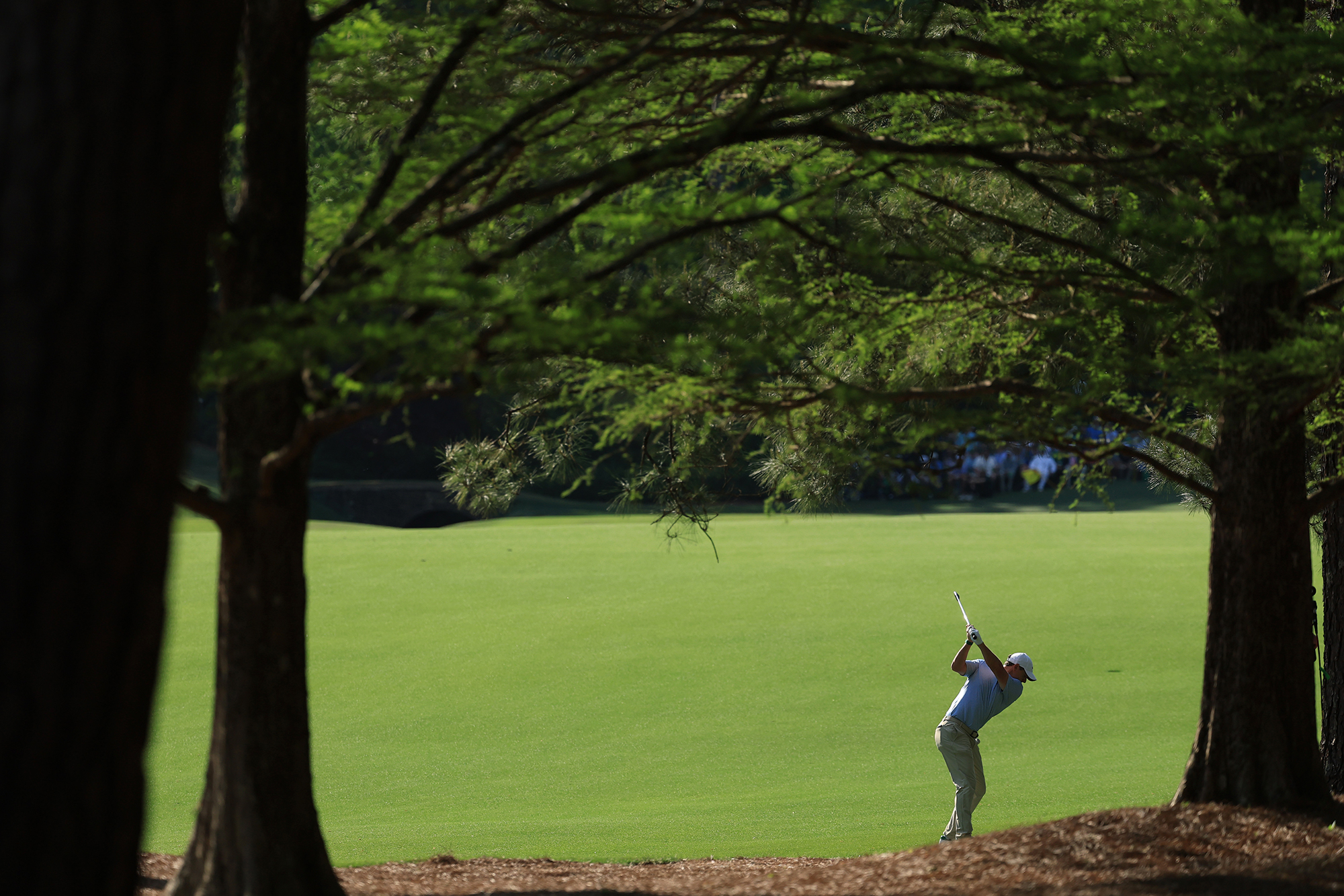 Rory McIlroy from down the line at the top of his backswing while hitting a shot from the trees