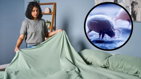 A woman inspects her sage-colored bed sheets. In the top right foreground, a circular frame shows an extreme close up of dust mites embedded in the fabric of a mattress cover.