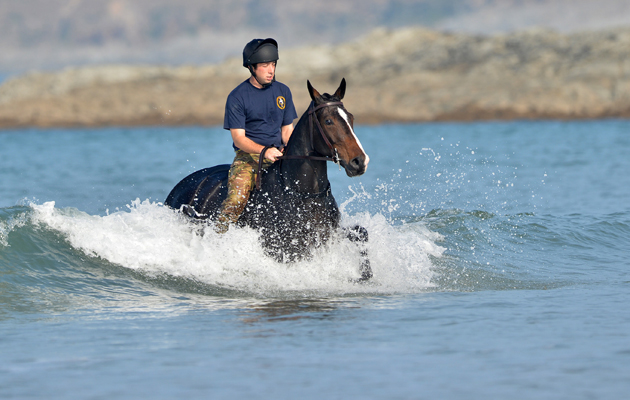 THE KING&amp;Otilde;S TROOP ROYAL HORSE ARTILLERY EQUESTRIAN EXERCISE IN WOOLACOMBE