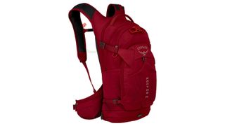 Osprey Raptor 14L