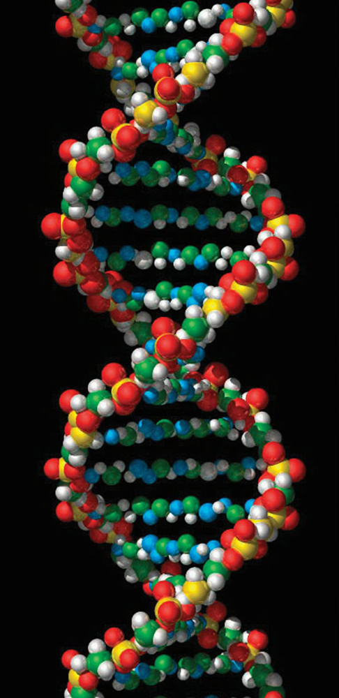 Dna Definition Structure Discovery What Is Dna Live Science